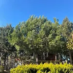 Garden Ardo Golem (Tirana)