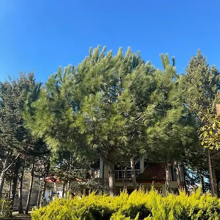 Garden Ardo Golem (Tirana)