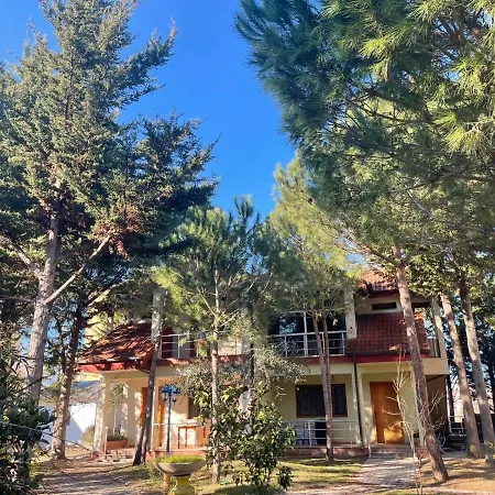 Holiday home Garden Ardo Golem (Tirana)