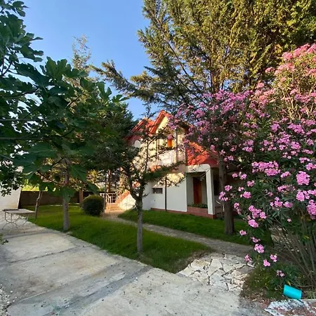 Garden Ardo * Golem (Tirana)